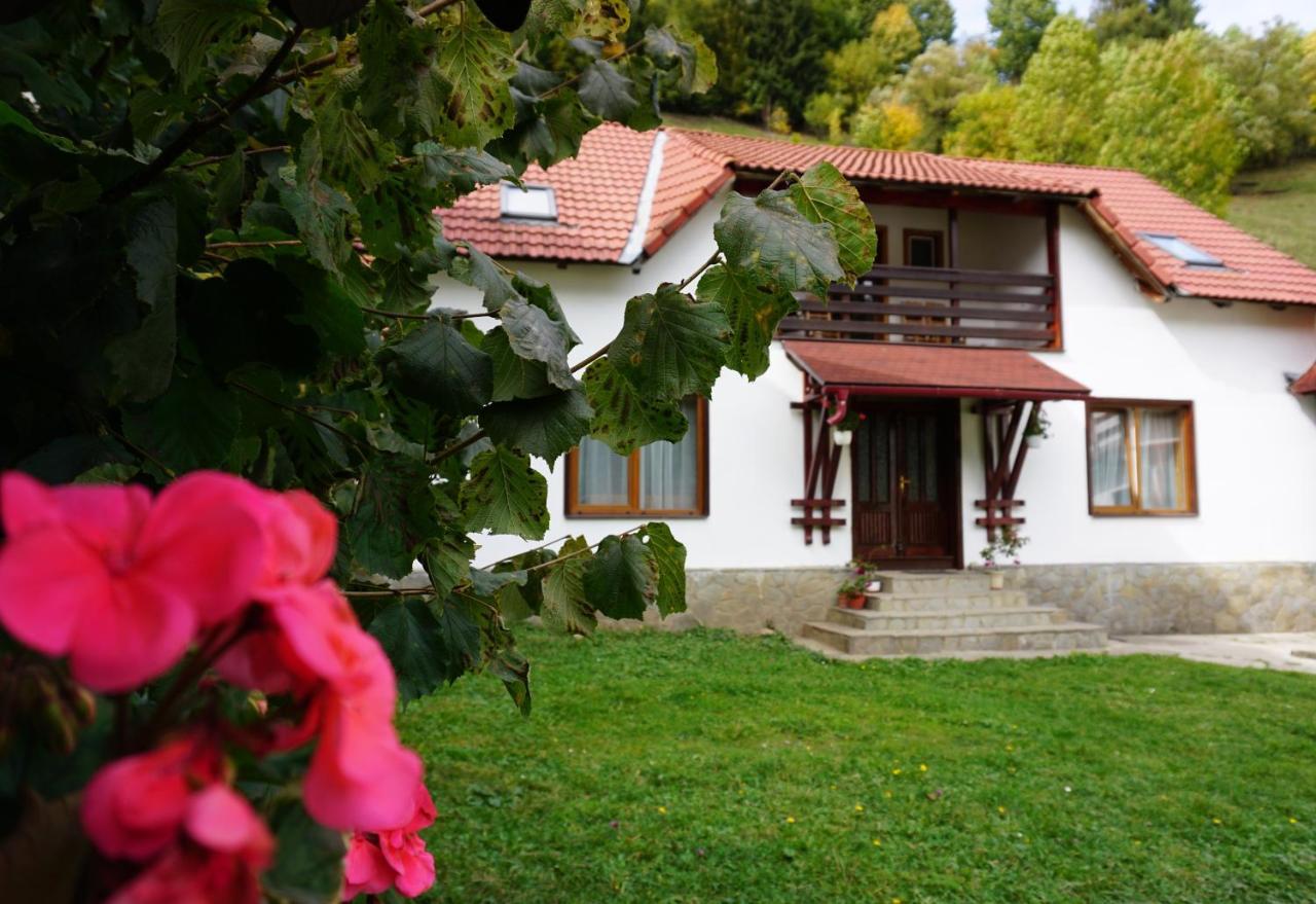 Celestia Hotel Moeciu De Sus Exterior photo